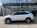 Lexus RX 400 400h Executive Grau - thumbnail 14