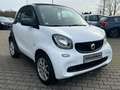 smart forTwo fortwo coupe Basis White - thumbnail 2