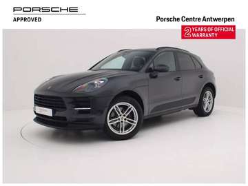 Macan