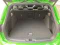 Ford Focus ST X | Fahrerass.-Paket | Panoramadach Grün - thumbnail 6