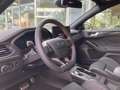 Ford Focus ST X | Fahrerass.-Paket | Panoramadach Grün - thumbnail 8