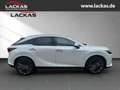 Lexus RX 450h +*4x4*Luxury*PANO-GLAS*SOFORT*15J.-GARANTIE* Alb - thumbnail 4