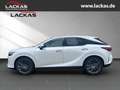 Lexus RX 450h +*4x4*Luxury*PANO-GLAS*SOFORT*15J.-GARANTIE* Alb - thumbnail 2