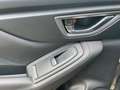 Subaru Forester 2.0i e-BOXER Premium Grijs - thumbnail 18