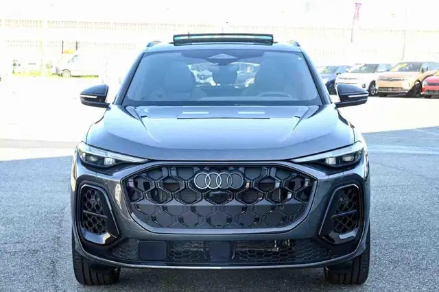 Audi Q5 view 21