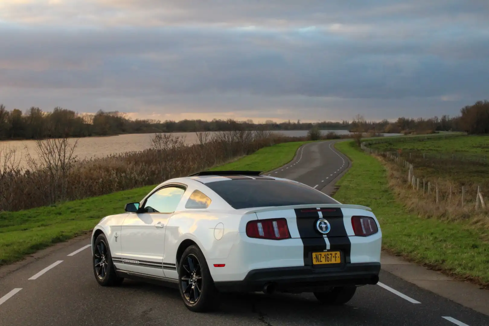 Ford Mustang Ford Mustang 4.0 V6 2009 Automaat Alb - 2
