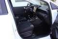 Ford Puma Titanium 1.0EcoBoost mHEV 125PS Bianco - thumbnail 10