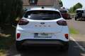 Ford Puma Titanium 1.0EcoBoost mHEV 125PS Bianco - thumbnail 8