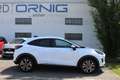 Ford Puma Titanium 1.0EcoBoost mHEV 125PS Bianco - thumbnail 9