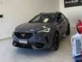 CUPRA Formentor 1.5 tsi 150cv dsg LUCI SOFFUSE,TELECAMERA,NAVI Grau - thumbnail 10