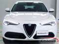 Alfa Romeo Stelvio 2.0 TURBO 200CV AUTOMATICA AT8 INTEGRALE Q4 Bianco - thumbnail 10