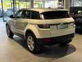 Land Rover Range Rover Evoque Pure**Allrad**Automatik** Weiß - thumbnail 5