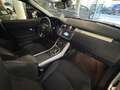 Land Rover Range Rover Evoque Pure**Allrad**Automatik** Weiß - thumbnail 13