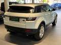 Land Rover Range Rover Evoque Pure**Allrad**Automatik** Weiß - thumbnail 7