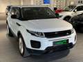 Land Rover Range Rover Evoque Pure**Allrad**Automatik** Weiß - thumbnail 3
