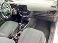Ford Fiesta 1.5TDCi Trend+ 85 Blanco - thumbnail 13
