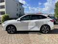 Ford Kuga 2.5 Duratec PHEV ST-LINE X Weiß - thumbnail 7