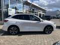 Ford Kuga 2.5 Duratec PHEV ST-LINE X Weiß - thumbnail 2