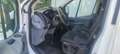 Ford Transit 350 L4. Alb - thumbnail 7