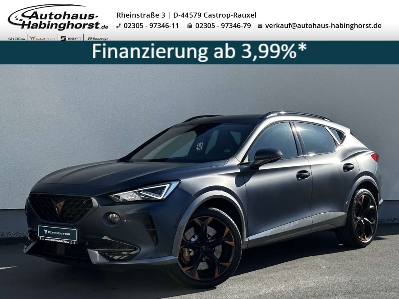 Cupra Formentor — Cupra Formentor VZ 2.0 TSI DSG 4Drive Navi AHK Brembo Beats e.Hk