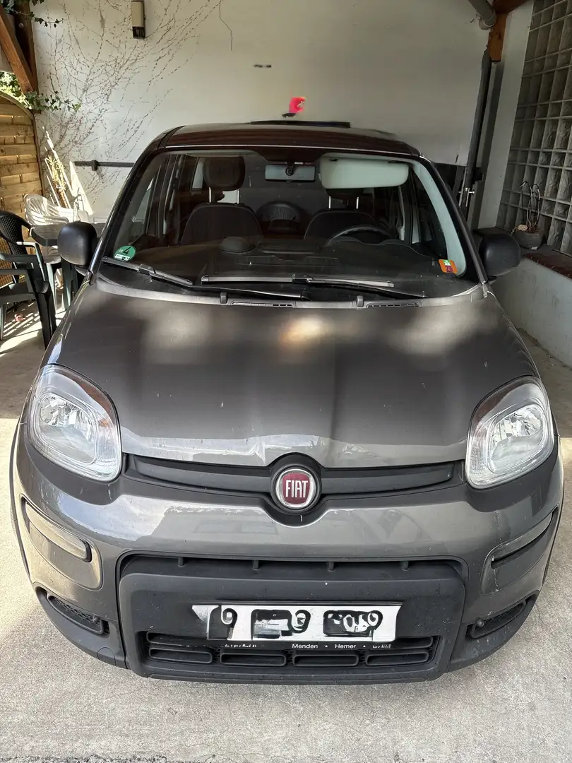 Fiat Panda 1.0 GSE Hybrid - 1