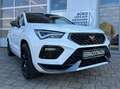 CUPRA Ateca 2.0 TSI DSG 4Drive 1HD BEATS PANO AHK 360° Weiß - thumbnail 1