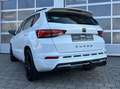 CUPRA Ateca 2.0 TSI DSG 4Drive 1HD BEATS PANO AHK 360° Weiß - thumbnail 14