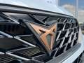 CUPRA Ateca 2.0 TSI DSG 4Drive 1HD BEATS PANO AHK 360° Weiß - thumbnail 4