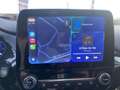 Ford Puma 1.0 ECOBOOST mHEV - 155 - BV POWERSHIFT S\u0026S - ST LINE X Grau - thumbnail 14