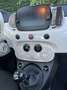 Fiat 500 1.0 Hybrid Dolcevita - Elektrisch Open Dak - thumbnail 5