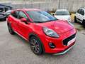 Ford Puma 1.5 ecoblue Titanium s Rosso - thumbnail 3