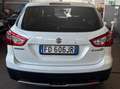 Suzuki SX4 S-Cross S-Cross 1.6 ddis Plus Bianco - thumbnail 4
