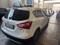 Suzuki SX4 S-Cross S-Cross 1.6 ddis Plus Bianco - thumbnail 5
