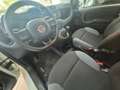 Fiat Panda Panda III 2016 1.2 Easy easypower Gpl 69cv my19 Wit - thumbnail 11