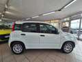 Fiat Panda Panda III 2016 1.2 Easy easypower Gpl 69cv my19 Wit - thumbnail 4