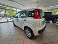 Fiat Panda Panda III 2016 1.2 Easy easypower Gpl 69cv my19 Wit - thumbnail 7