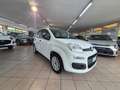 Fiat Panda Panda III 2016 1.2 Easy easypower Gpl 69cv my19 Wit - thumbnail 3