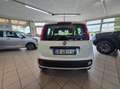 Fiat Panda Panda III 2016 1.2 Easy easypower Gpl 69cv my19 Wit - thumbnail 6