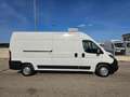 Fiat Ducato 335 2.2 BlueHDi 140CV S&S L3H2 FRIGO ZANOTTI 0°C Bianco - thumbnail 6