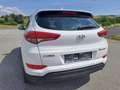Hyundai TUCSON Tucson 1,7 CRDI Start-Stopp Go DCT Go Weiß - thumbnail 3