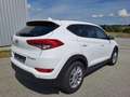 Hyundai TUCSON Tucson 1,7 CRDI Start-Stopp Go DCT Go Weiß - thumbnail 4