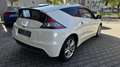Honda CR-Z Sport( TÜV 10,2027)KLIMA SPORT WAGEN Weiß - thumbnail 5