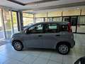 Fiat Panda 1.2 Easy Grigio - thumbnail 7