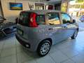 Fiat Panda 1.2 Easy Grigio - thumbnail 4