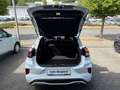Ford Puma ST-Line X 1,0l MHEV 114KW 155PS Blanco - thumbnail 18