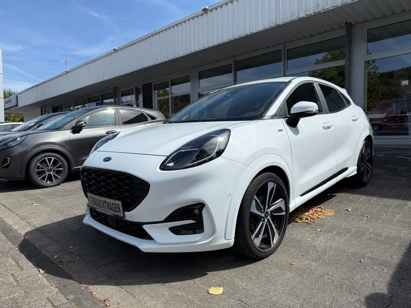 Ford Puma ST-Line X 1,0l MHEV 114KW 155PS Bianco - 2