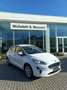 Ford Fiesta Fiesta VII 2017 5p 5p 1.1 Titanium Gpl s Bianco - thumbnail 1