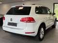 Volkswagen Touareg V6 TDI-Luftfahrwerk-AHK-BiXenon-Kamera- Weiß - thumbnail 4