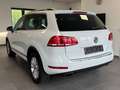 Volkswagen Touareg V6 TDI-Luftfahrwerk-AHK-BiXenon-Kamera- Weiß - thumbnail 6