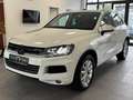 Volkswagen Touareg V6 TDI-Luftfahrwerk-AHK-BiXenon-Kamera- Weiß - thumbnail 1